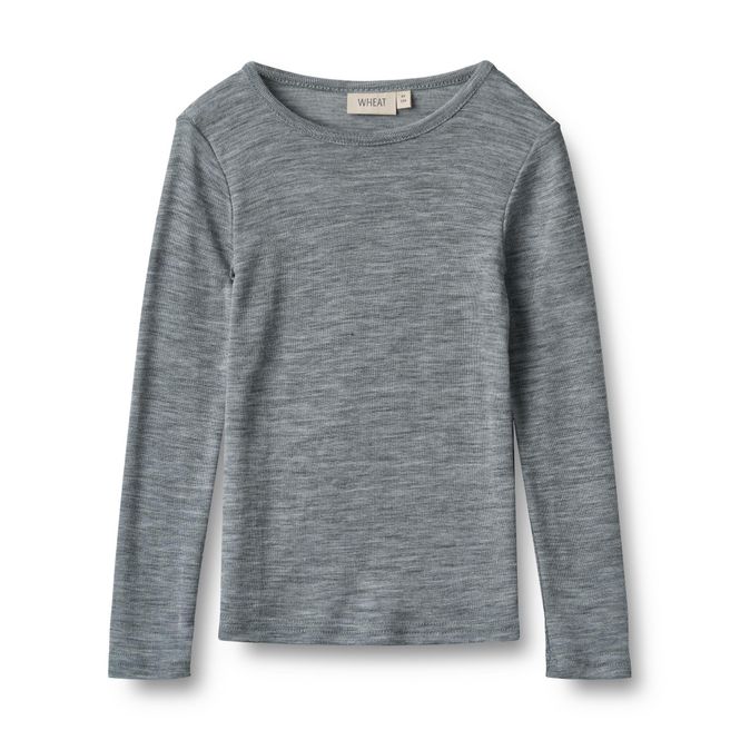 Hovedbilde  Wool T-Shirt L/S Alfie (Grey) 